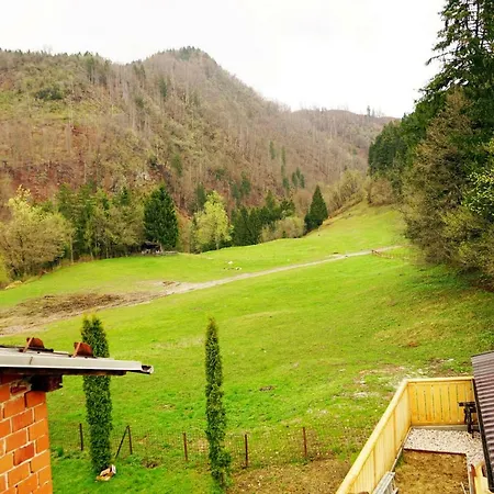 Διαμέρισμα Apartma Erzen *
