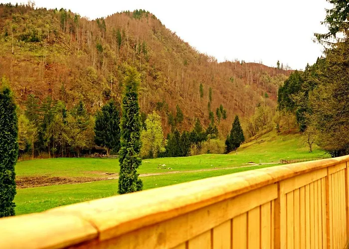 Διαμέρισμα Apartma Erzen *