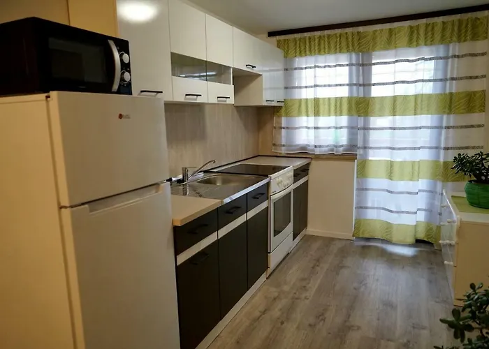 Apartma Erzen Lägenhet Zgornje Gorje